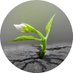 NVRnorthampton 💙 (@nvrnorthampton) Twitter profile photo NVRnorthampton 💙 (@nvrnorthampton) Twitter profile photo