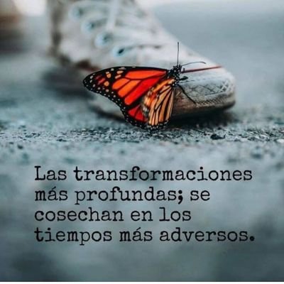 kuch_sandy's profile picture. 