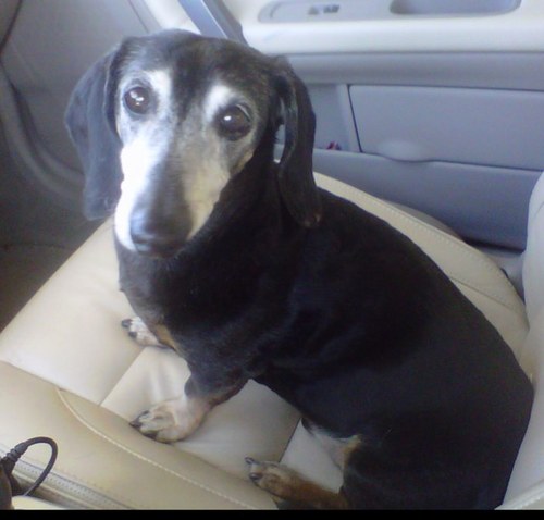 ronibennett's profile picture. 