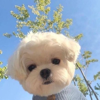 u200209's profile picture. 빛이 되어줘서 고마워♡ #백현