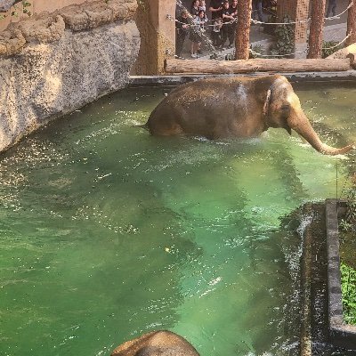 AllouAngel7722's profile picture. 