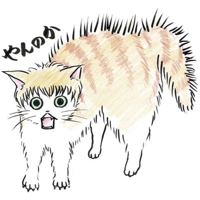 東海圏棲息のねこのような珍獣。成人済腐。好:菊地秀行/刀剣/原神/94/K2他 レイヤー兼字書き。食い意地が張っている。画像はフィクションなので本人とは異なります。今のメインは94エルダー、譲テツ(逆も見る)、gnsn🌧️、🕯️。 知人以外の18歳未満/共通項皆無/フォロワ欄にスパム垢多過ぎる人/他不審垢は🧱