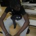 Akoll (@adeim_akol) Twitter profile photo Akoll (@adeim_akol) Twitter profile photo