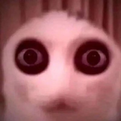 AltheCrybaby's profile picture. Some one cool ig || I like a lot of things || I post what I want :3 || https://t.co/lj9x4piTvW