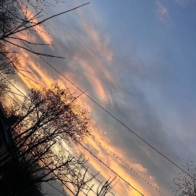 Hihuhidosnrr's profile picture. Im a person who gets bullied a lot but I don’t give a living hell about it I may be short or anything that people say  behind my back but i can throw a punch.