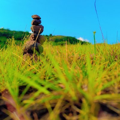 MaheshRokade's profile picture. ...