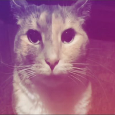 rodvtalv's profile picture. why?