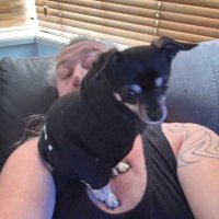 Jumbo (@oldmanjumbo) 's Twitter Profile Photo Jumbo (@oldmanjumbo) 's Twitter Profile Photo