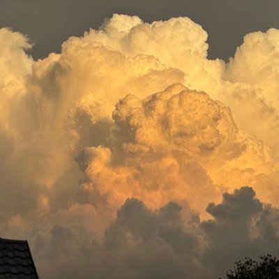 CudaBaracuda's profile picture. 