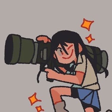 koifさんのプロフィール画像