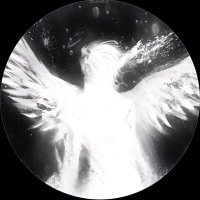 funji (@funji_sol) 's Twitter Profile
