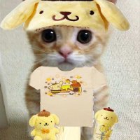 weegie (@guava_pie17) 's Twitter Profile