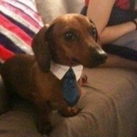 sophia (@annasophc) 's Twitter Profile