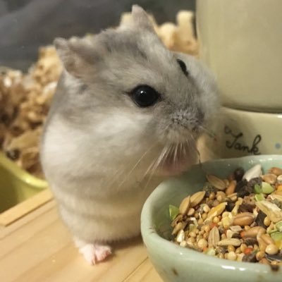 言葉の音声 リズムに身振りで答える。うなずき君 増田屋 図書
