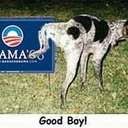 ROBERT POOL - @TRUCKDOCBOB - Twitter