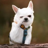 DDDDsp (@dsp_ddd) 's Twitter Profile Photo DDDDsp (@dsp_ddd) 's Twitter Profile Photo