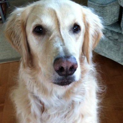 Jay553960723932's profile picture. Gone but not forgotten