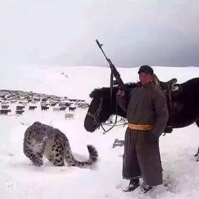 nicks995's profile picture. 