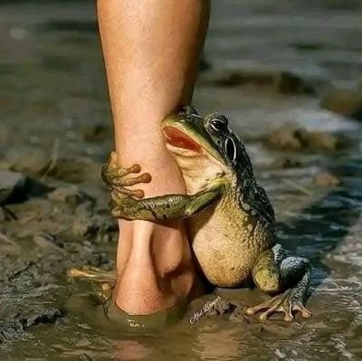 AnaBienven's profile picture. 