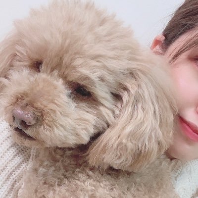 yui_snblnsea's profile picture. SHElikes(2025.5.3〜)／Love💗【愛犬♢SnowMan💚♢Fischer’s♢海♢コスメ♢日本酒♢温泉♢サッカー♢舞台鑑賞♢ディズニー♢アニメ♢ゲーム】