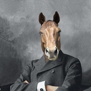 creditfree50ff's profile picture. 