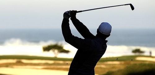 thosewhohustle's profile picture. 