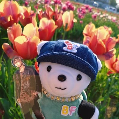 BESTY ジュノン🐢推しです💖 BESTYさんお友達になってください。趣味は⚡️ポケモンGOとポケふた巡り。