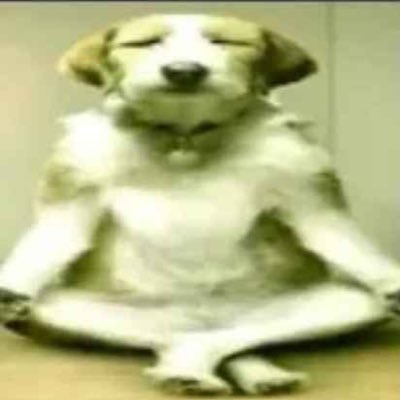 310unc's profile picture. 오빠 저 지원이에요