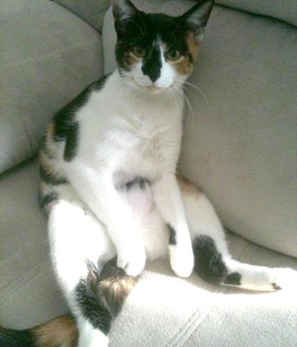 WhoElseWould's profile picture. What? I'm just a meat puppet?