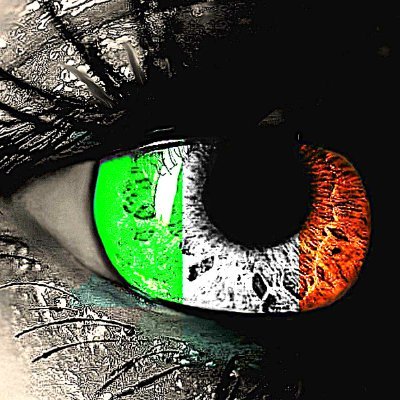 deirdrao's profile picture. Love my cat.