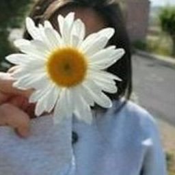 Faeaqor2381's profile picture. 