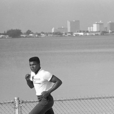 Victor04312's profile picture. 