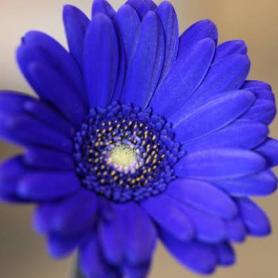 pUdf605sosTkWmX's profile picture. 中居正広さんが大好きです。
一生中居ヅラです💙💙
中居くんの健康と幸せを常に願っています🍀✨

野球は子供の頃からの阪神タイガースファンです🐯⚾