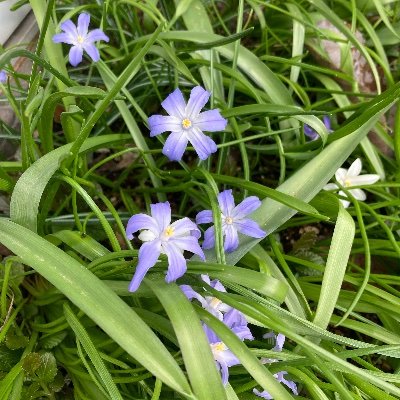 Bragi1981's profile picture. 