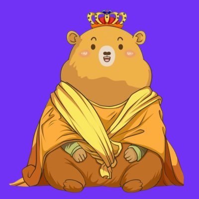 ProrokethX's profile picture. Crypto Analyst | Technical Analysis & Charting | Market Researcher | @pepecoineth Holder 🐸 420.69 🇦🇪