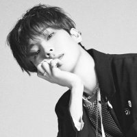 liez ˚₊‧୨୧ 𓃠 (@dream_withsvt) 's Twitter Profile