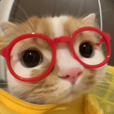 ตินบีมิ้ว ツ 🥞🐱さんのプロフィール画像