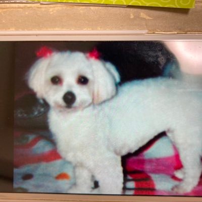 0625sachi's profile picture. ジュリー