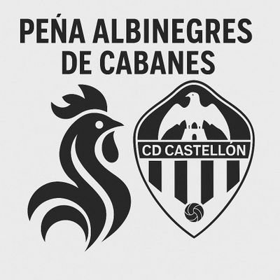 AlbinegresC's profile picture. La provincia es Albinegra