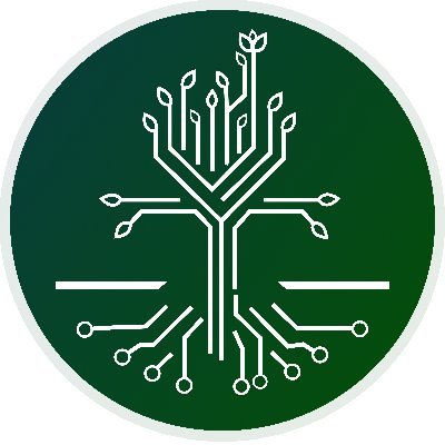 OiticicaValley's profile picture. Oiticica Valley é uma comunidade dedicada a incentivar o desenvolvimento e o avanço tecnológico na região do Alto Oeste Potiguar.