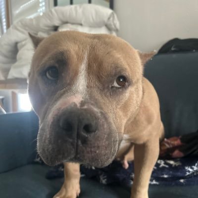 Ex-Streamer | Développeur C++ / CyberSecurité / Design UX/UI / Graphisme | Terriblement sexy | #KCorp | Marié en gros