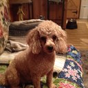 Ethel Nelson - @Ethelnelson - Twitter