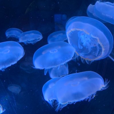 AT7vwDLXpTJlw0A's profile picture. 男です  劣等感