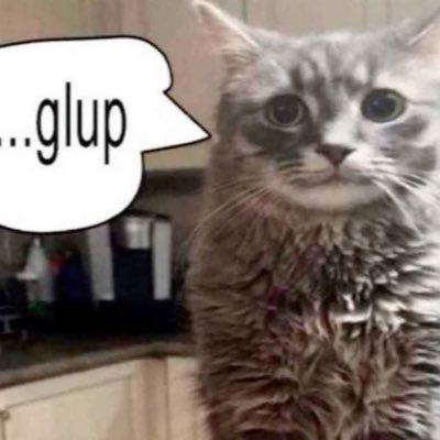 eelswithguns's profile picture. 