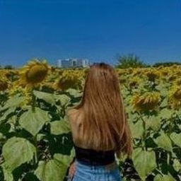 Sruiiderh940's profile picture. 