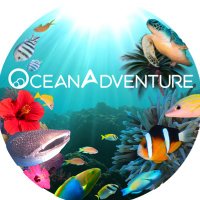 オーシャンアドベンチャー (@5oceanadventure) 's Twitter Profile