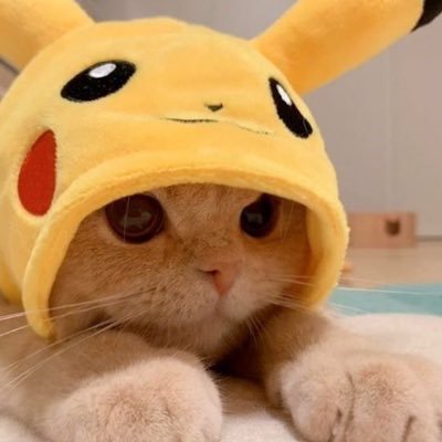 rehbtw's profile picture. One Day