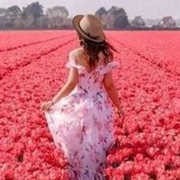 Querreeg (@querreeg604386) 's Twitter Profile