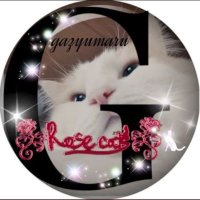 がじゅまる (@gajugaju031) 's Twitter Profile Photo