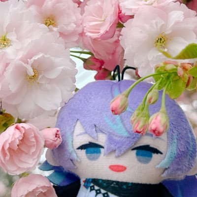 千歳さんのプロフィール画像